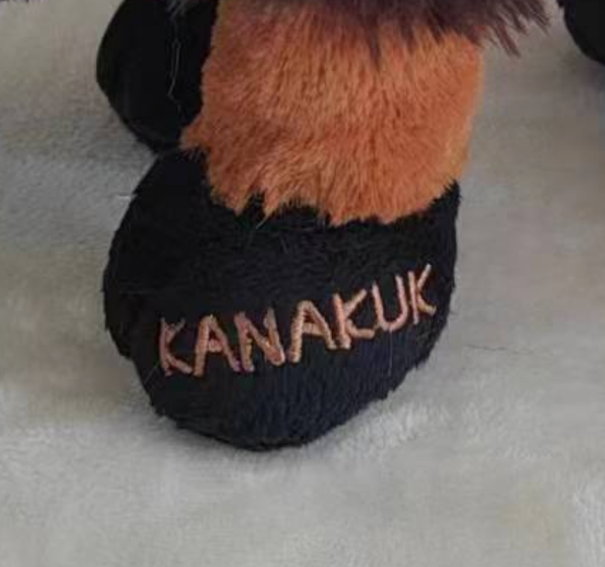 Branson the Buffalo Plush