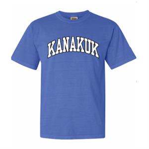 CW Basic Collegiate Tee, Forte Blue